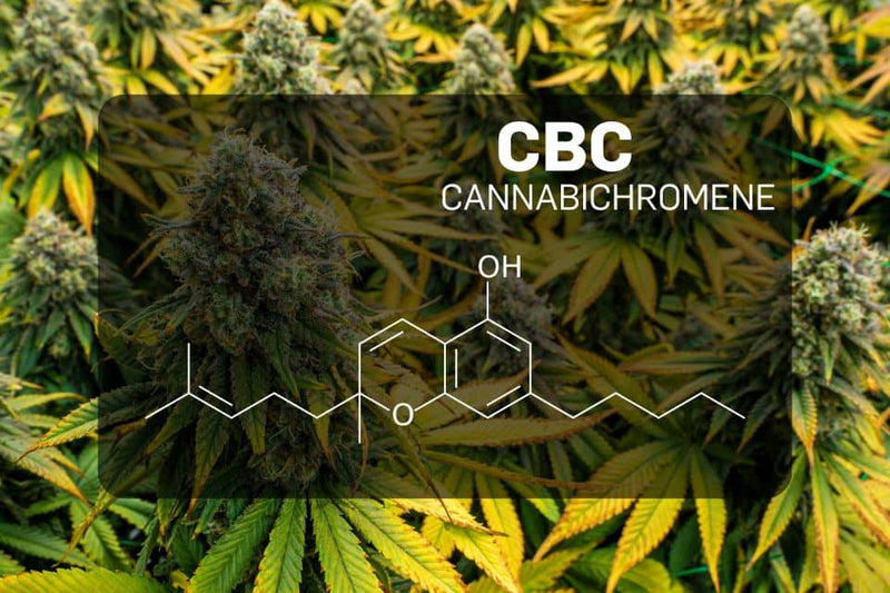 Kannabikromeeni (CBC) keemiline struktuur