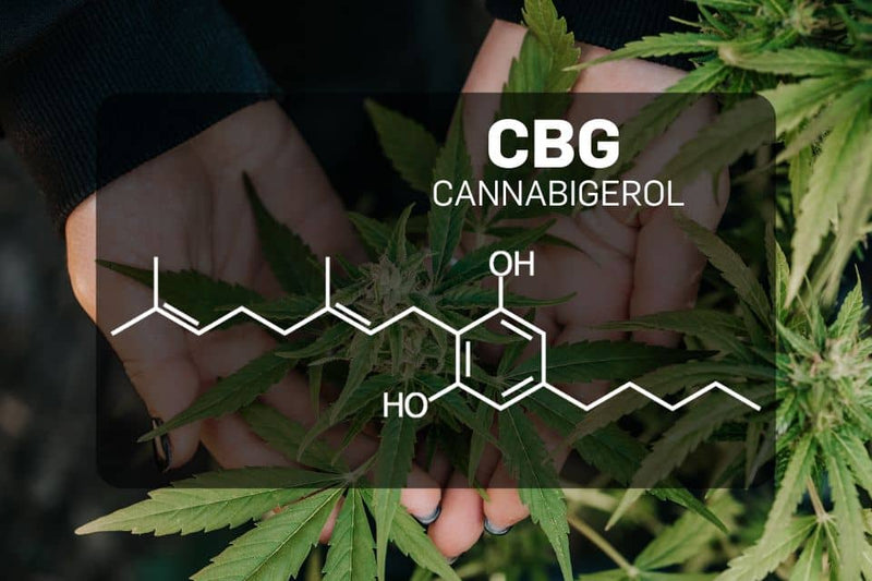 CBG (kannabigerooli) keemiline struktuur