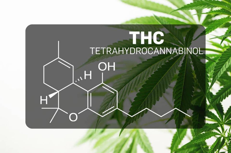 THC (tetrahüdrokannabinooli) keemiline struktuur