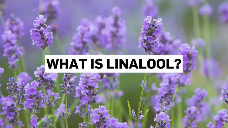 Mis on linalool?