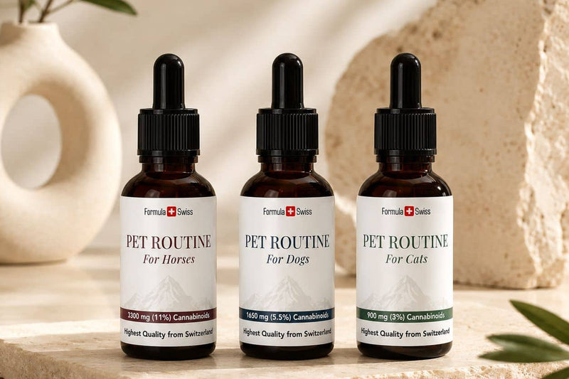 Formula Swiss Pet Routine CBD-õlid hobustele, koertele ja kassidele kivipinnal