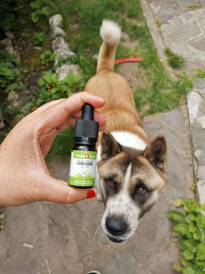 Formula Swiss CBD-õli MCT-õlis – naturaalne